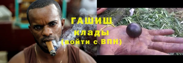 ПСИЛОЦИБИНОВЫЕ ГРИБЫ Медногорск